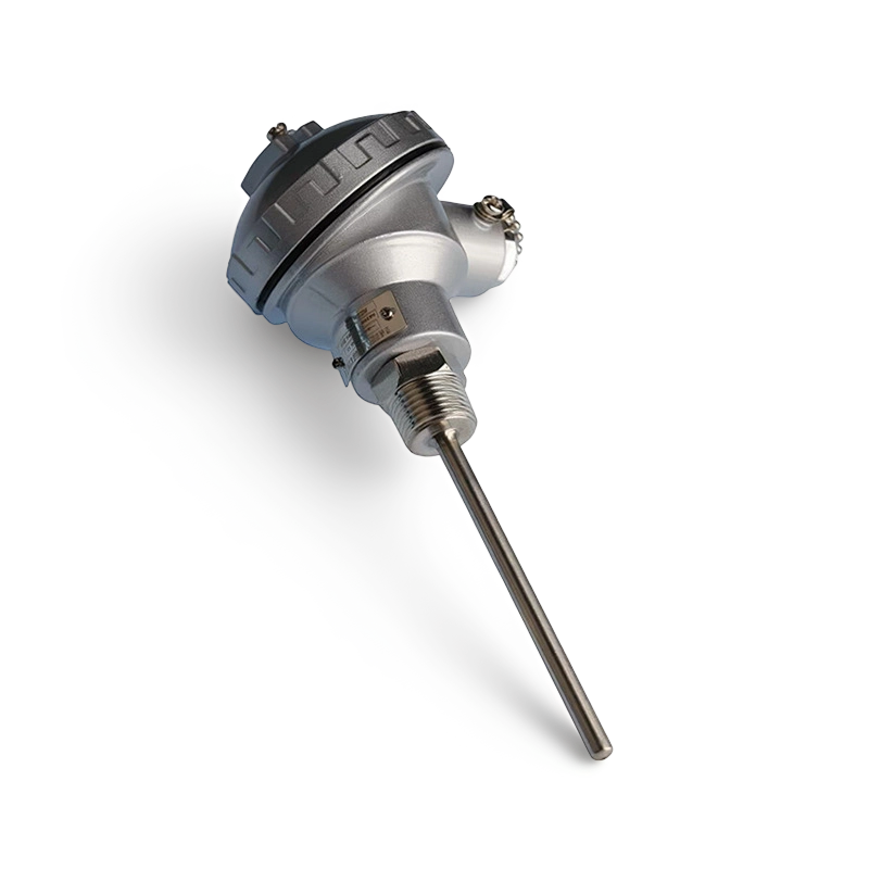 RTD Temperature Sensor
